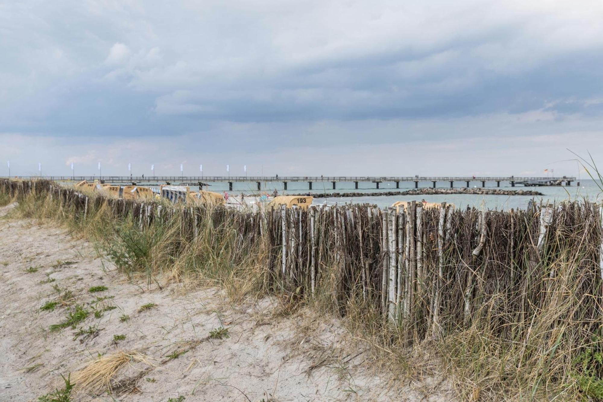 Treibholz - Feriendomizil Ostsee Schonberger Strand Exteriér fotografie